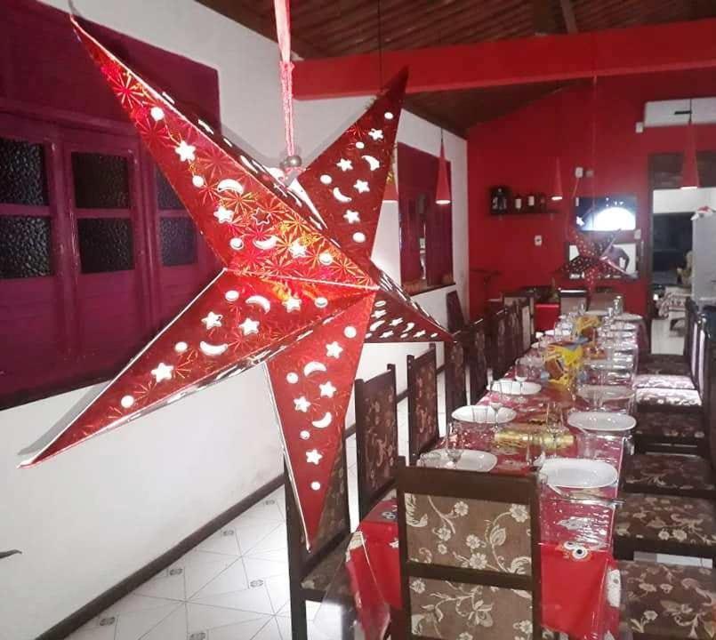 Coruja Branca