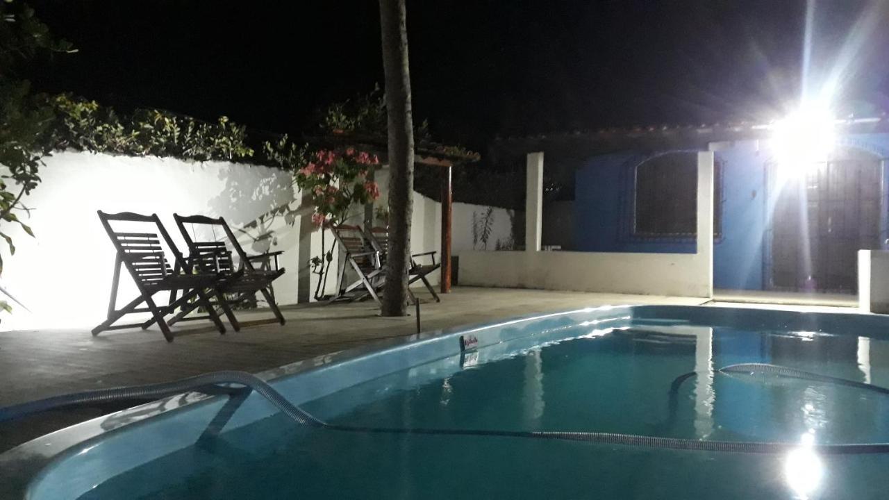 Coruja Branca