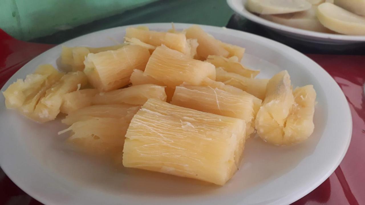 Estalagem Coruja Branca *